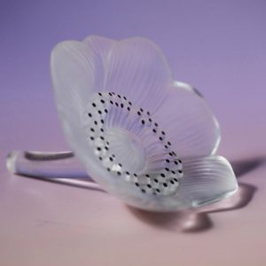 Presse papier en Cristal dépoli de chez LALIQUE
Fleur d'Anémone